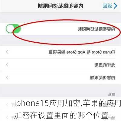 iphone15应用加密,苹果的应用加密在设置里面的哪个位置